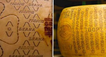 Grana Padano o Parmigiano Reggiano, finalmente svelato il più buono e il più sano